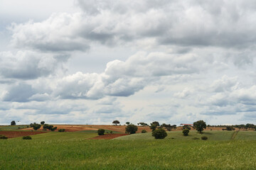Landscape of fields of Zamora, Castilla y León, Spain