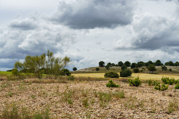 Landscape of fields of Zamora, Castilla y León, Spain