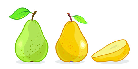 Pear. Color vector drawing, printing, design, background.

