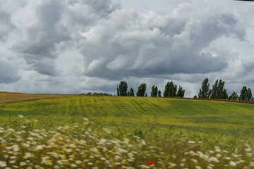 Landscape of fields of Zamora, Castilla y León, Spain