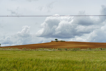 Landscape of fields of Zamora, Castilla y León, Spain