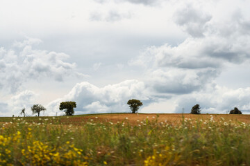 Landscape of fields of Zamora, Castilla y León, Spain