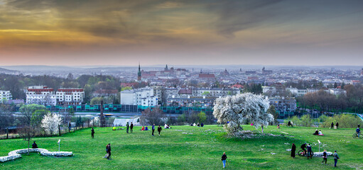 Widok na Kraków, panorama miasta z Kopca Krakusa, kwitnące drzewo śliwki - obrazy, fototapety, plakaty