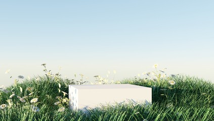 3d rendering of stone podium and grass.