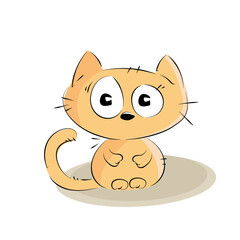 Little yellow red kitten is sitting on the flour