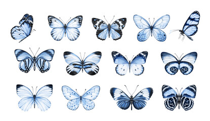 Butterfly watercolour clip art for wedding invitation or greeting cards