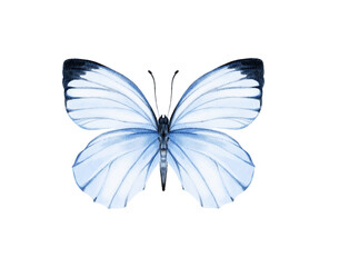 Butterfly watercolour clip art for wedding invitation or greeting cards