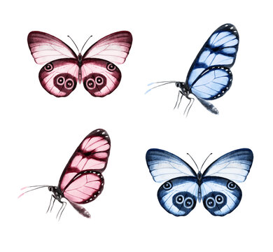 Butterfly watercolour clip art for wedding invitation or greeting cards