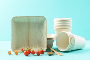 Biodegradable plate made from betel palm and coffee cup on color background, Eco friendly and sustainability concept
