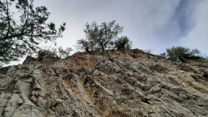the rock
