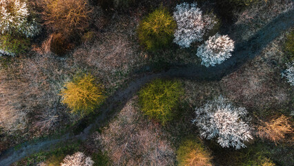 The winding road can be seen from above

