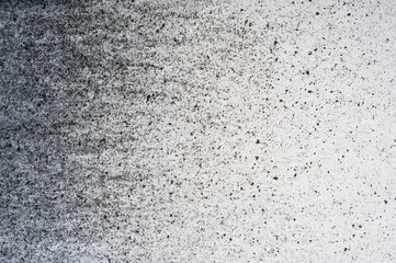 Fototapeta premium Close-up view of an old plaster. Background for various uses.