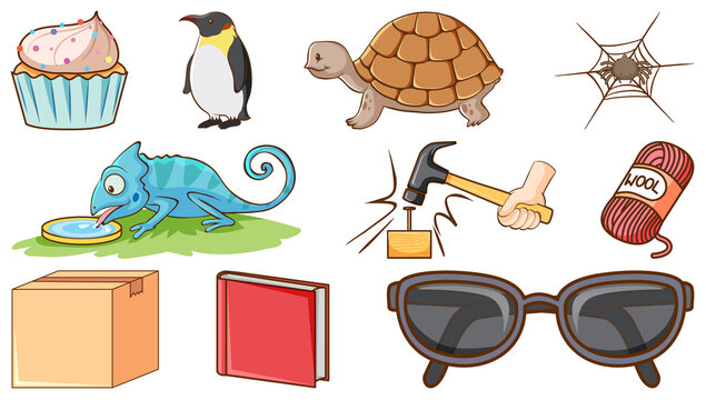 Set of animals and other objects