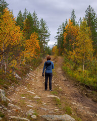 Fototapeta premium A young woman with a backpack and trekking poles in the Khibiny mountains. The concept of a healthy and active lifestyle. Girl on the background of nature mountains.