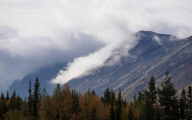 The clouds caught on the tops of the mountains. Low clouds in the mountains. Khibiny, Russia.