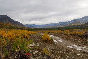 Autumn colorful tundra on the background mountain peaks in cloudy weather. Mountain landscape in Kola Peninsula, Arctic, Khibiny Mountains.
