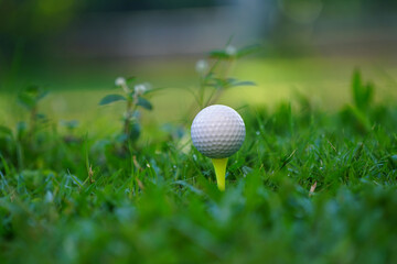 Golf ball is on tee at green lawn in a beautiful golf course with morning sunshine.Ready for golf in the first short.