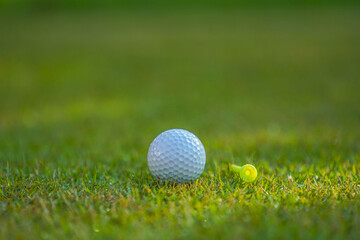 Golf ball is on a green lawn in a beautiful golf course with morning sunshine.