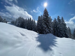 Fototapeta na wymiar A magical play of sunlight and shadow during the alpine winter on the snowy slopes of the Churfirsten mountain range in the Obertoggenburg region, Nesslau - Switzerland / Schweiz