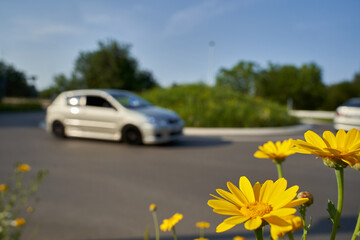 Yellow wildflowers in front of road intersection. Traffic circle with 2 moving cars. Shallow depth of field. Germany.
