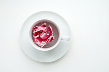 Cup with flower on a white background