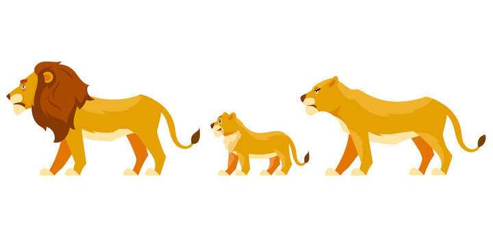 Lion family side view. African animals in cartoon style.