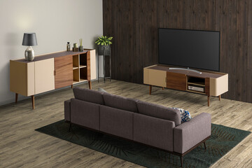 Interior design of modern TV room. 3D rendering. Decorated