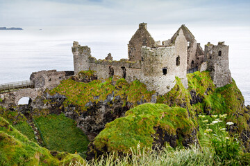 Fototapeta na wymiar Ruins of Dunluce Castle, Antrim, Northern Ireland during sunny day with semi cloudy sky. Irish ancient castle near Wild Atlantic Way.