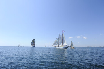 Regatta sailing yachts. Yachts and standard ships