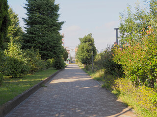 立川の遊歩道。電線のない道。