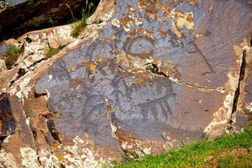 Petroglyphs on the rocks in Kazakhstan. The ancient parking cave man. Historical cave paintings. Carved on stone images of deer, goats and wolves. The development of ancient peoples.