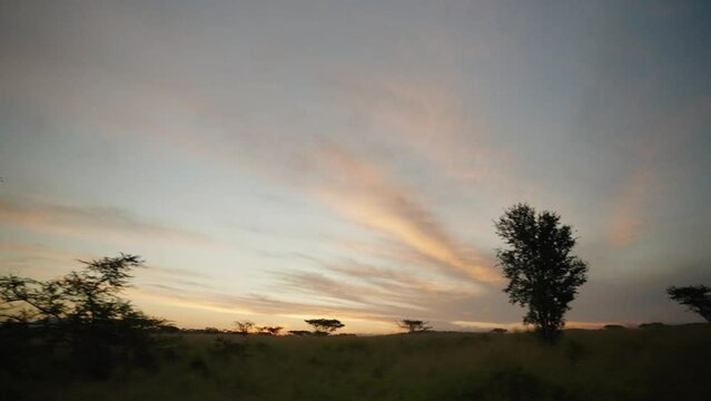 South African sunset over Kruger Nation Park.
