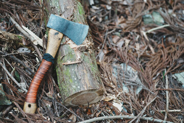 キャンプイメージ　斧