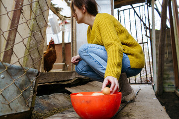 a young girl in a yellow sweater takes fresh eggs out of the chicken coop © NADIN