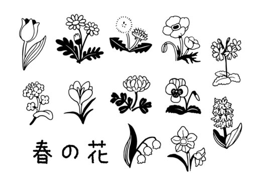 ニホンサクラソウ の画像 1 670 件の Stock 写真 ベクターおよびビデオ Adobe Stock