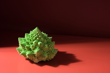 Romanesco variedad verde de coliflor y brócoli vegetales saludables aislado sobre fondo rojo