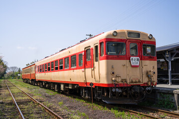 Fototapeta na wymiar いすみ鉄道のキハ52・キハ28急行列車