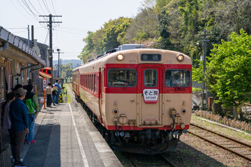 Naklejka premium いすみ鉄道のキハ52・キハ28急行列車