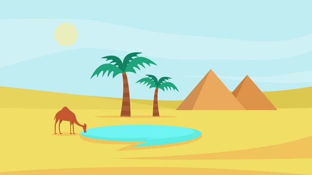 Thirsty camel drinks water in the oasis desert