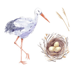 Watercolor set of nest with three eggs and stork bird. Hand-drawn illustration isolated on the white background