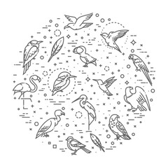 Illustration of different kind of birds 