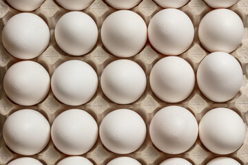 Fragment of a tray with white chicken eggs. Top view.