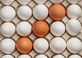 Fragment of a tray with brown and white chicken eggs. Top view.