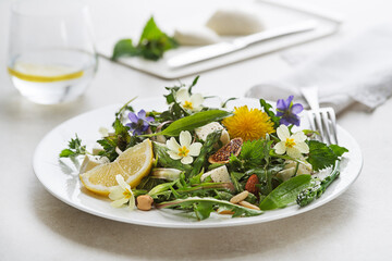 Dandelion salad spring - 499586414