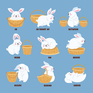 English prepositions. Teaching poster for children with playful cartoon bunny. Learn grammar with animal, vector neoteric rabbit with basket teach preposition