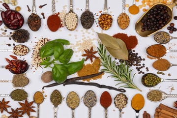Herbs and Cooking Spices on Spoons