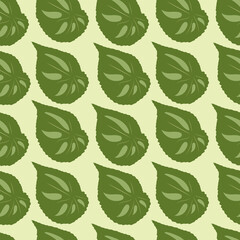 Pattern of variegated green leaves of the plant on a light background. For fabrics and factories. Vector.