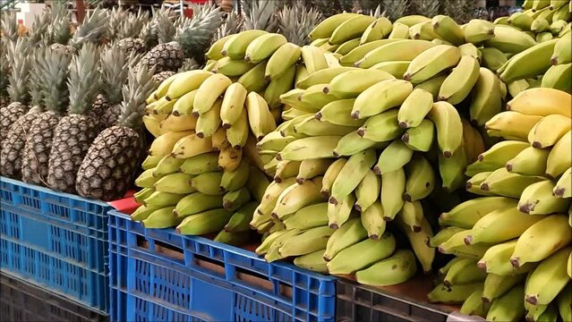 Frutas