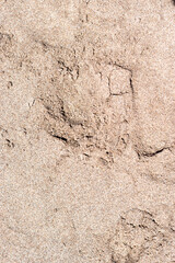 Top view of a beach sand texture