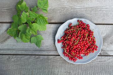 Fresh homegrown organic red currant in plate on wooden board. View from above. Copy space